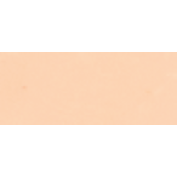 Toko Backshop Blocwax 2,5Kg Warm