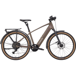 Trek FX+ 2