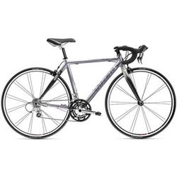 2007 Trek 2100 WSD - Bicycle Details 