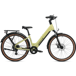 Troxus Trax LT E-Bike Step Thru