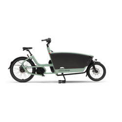 Urban Arrow FamilyNext Pro