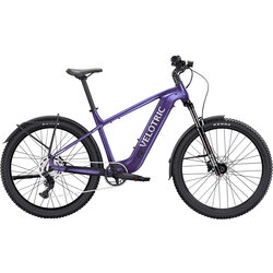 Mountain - Eugene Electric Bicycles | Eugene, OR