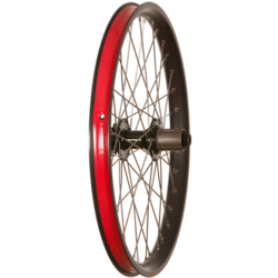 Yuba Spicy Curry V3 20-inch Rear