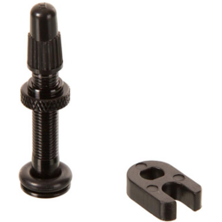 Zipp 101 XPLR Valve