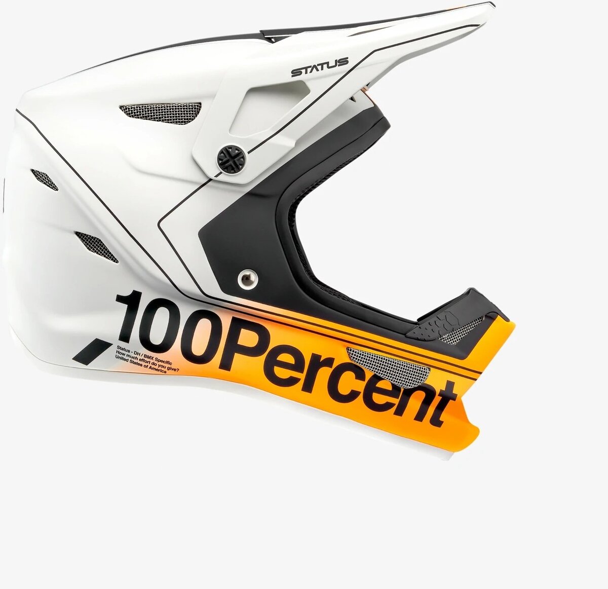 100% Status Helmet - Village Bike | Florida 100% Status Helmet - Village Bike | Florida