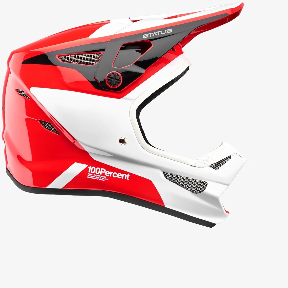 100% Status Youth Helmet - Just Riding Along Cycles - Boston Area