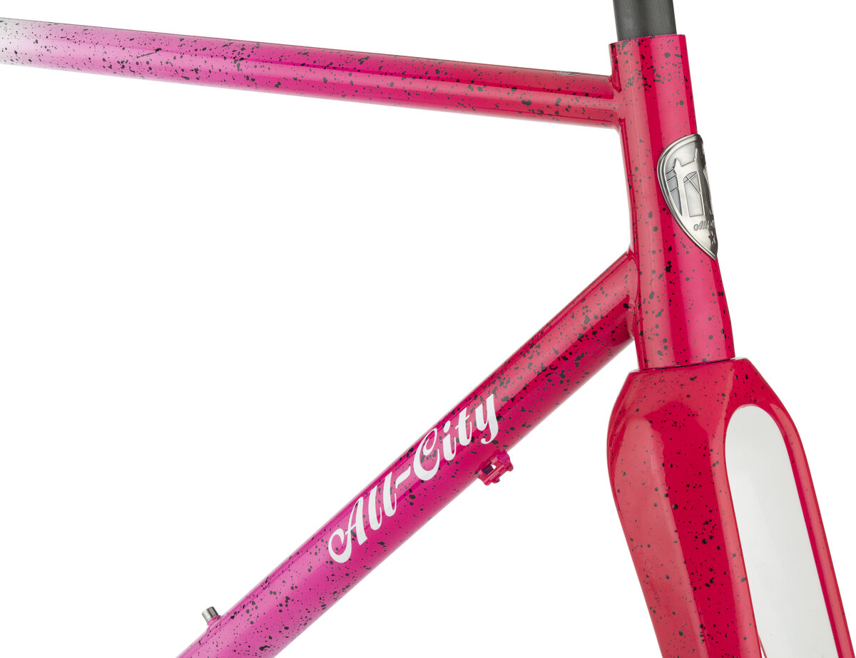 All-City Nature Cross Geared Frameset - Bike Stop Bicycle Stores 