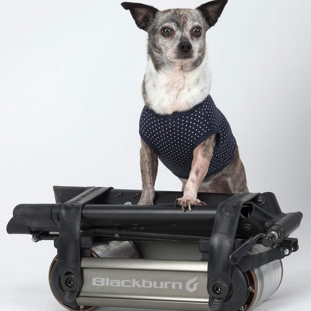 Blackburn レースデイ ポータブル トレーナー Blackburn Raceday Portable Trainer - K&G Bike Center Kettering