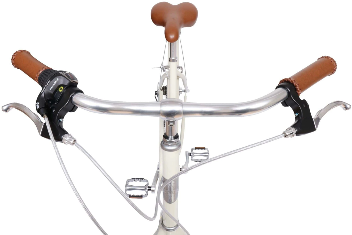 Brooklyn Bicycle Co. Franklin 8-Speed - Green Lizard Cycling