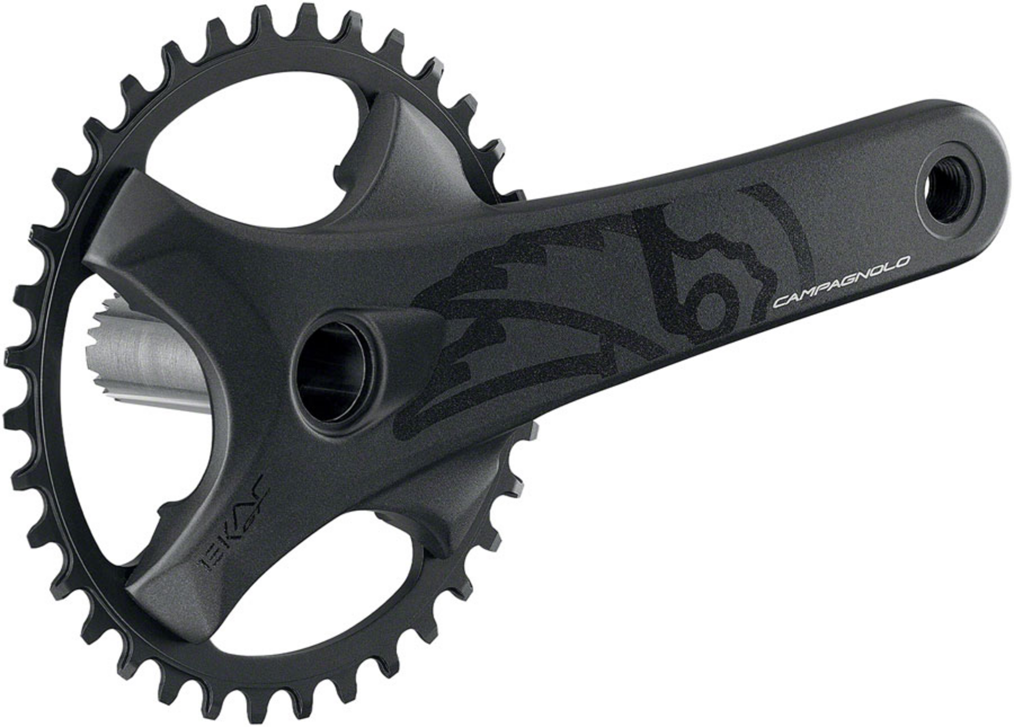 Campagnolo Ekar 165mm クランク 40T Campagnolo EKAR GT Crankset - Velo Republic