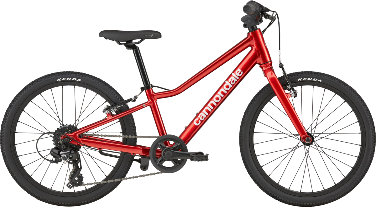 Cannondale Quick 20 - Bicycle Ranch Tuscon