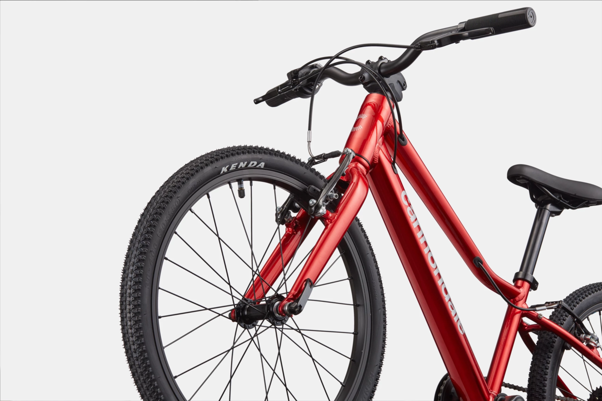 Cannondale Quick 20 - Bicycle Ranch Tuscon