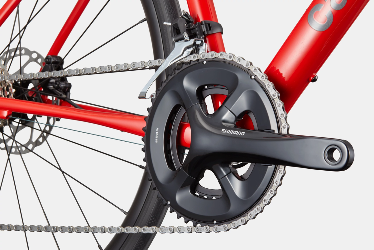 Cannondale Synapse 1 - Conte's Bike Shop | Since 1957