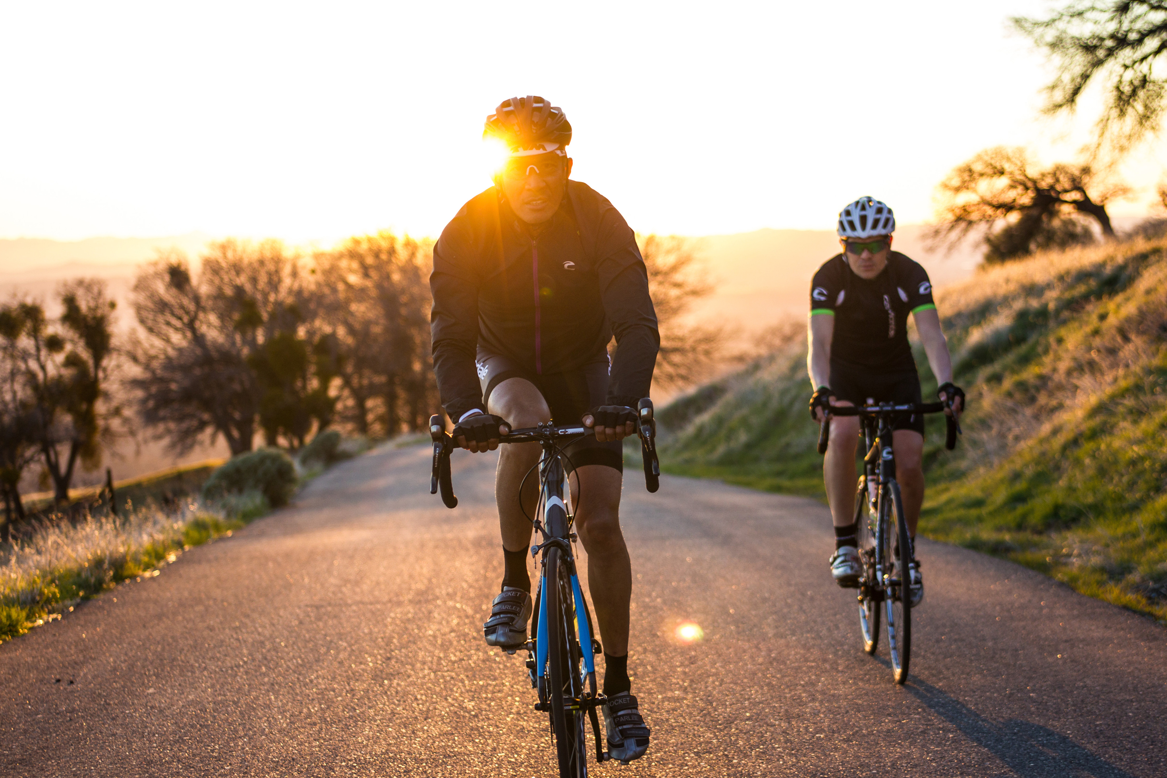 cannondale synapse 8