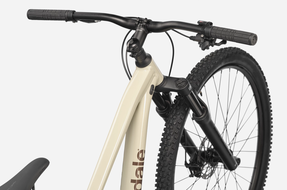 Cannondale Trail 3 - Bicycles Etc. | Lisle, IL