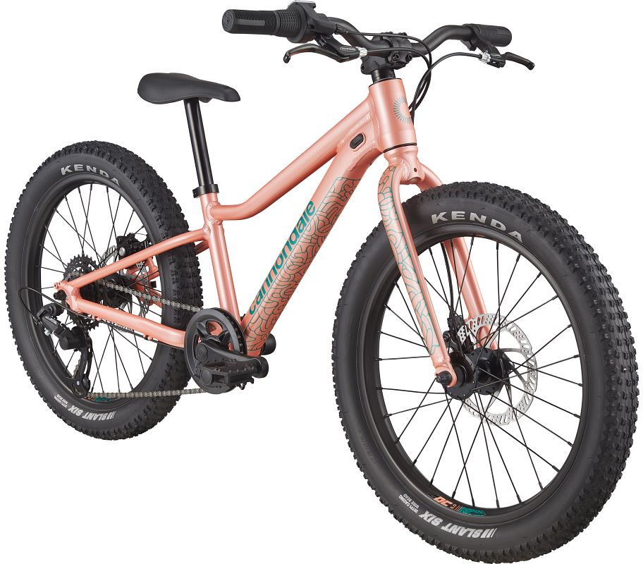 cannondale-trail-plus-20-