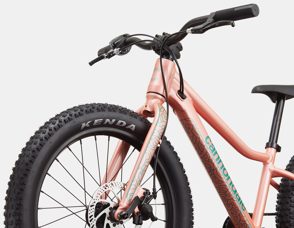 Cannondale Trail Plus 20 - Martins Bike & Fitness