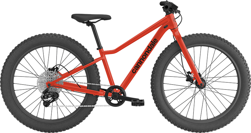Cannondale Trail Plus 24 - Wheelworks | Belmont & Somerville Bike Shop