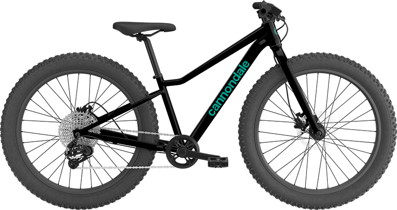 Cannondale Trail Plus 24 - Wheelworks | Belmont & Somerville Bike Shop