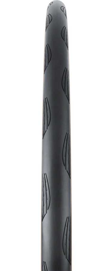 Continental Grand Prix TR - Diamond Cycle | Montclair, NJ | Bike Shop
