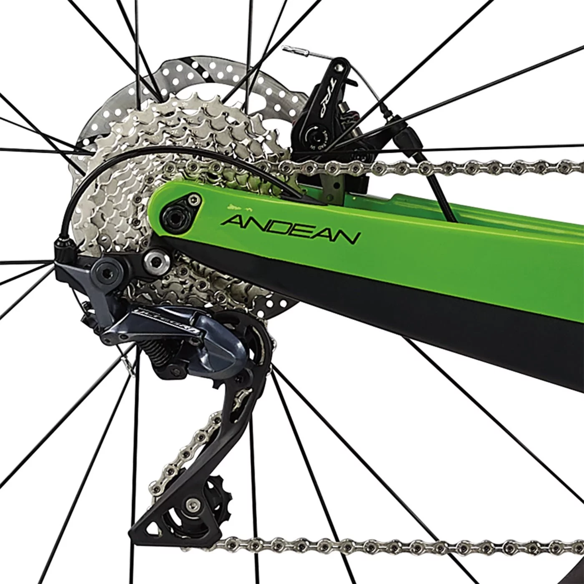 diamondback andean 1