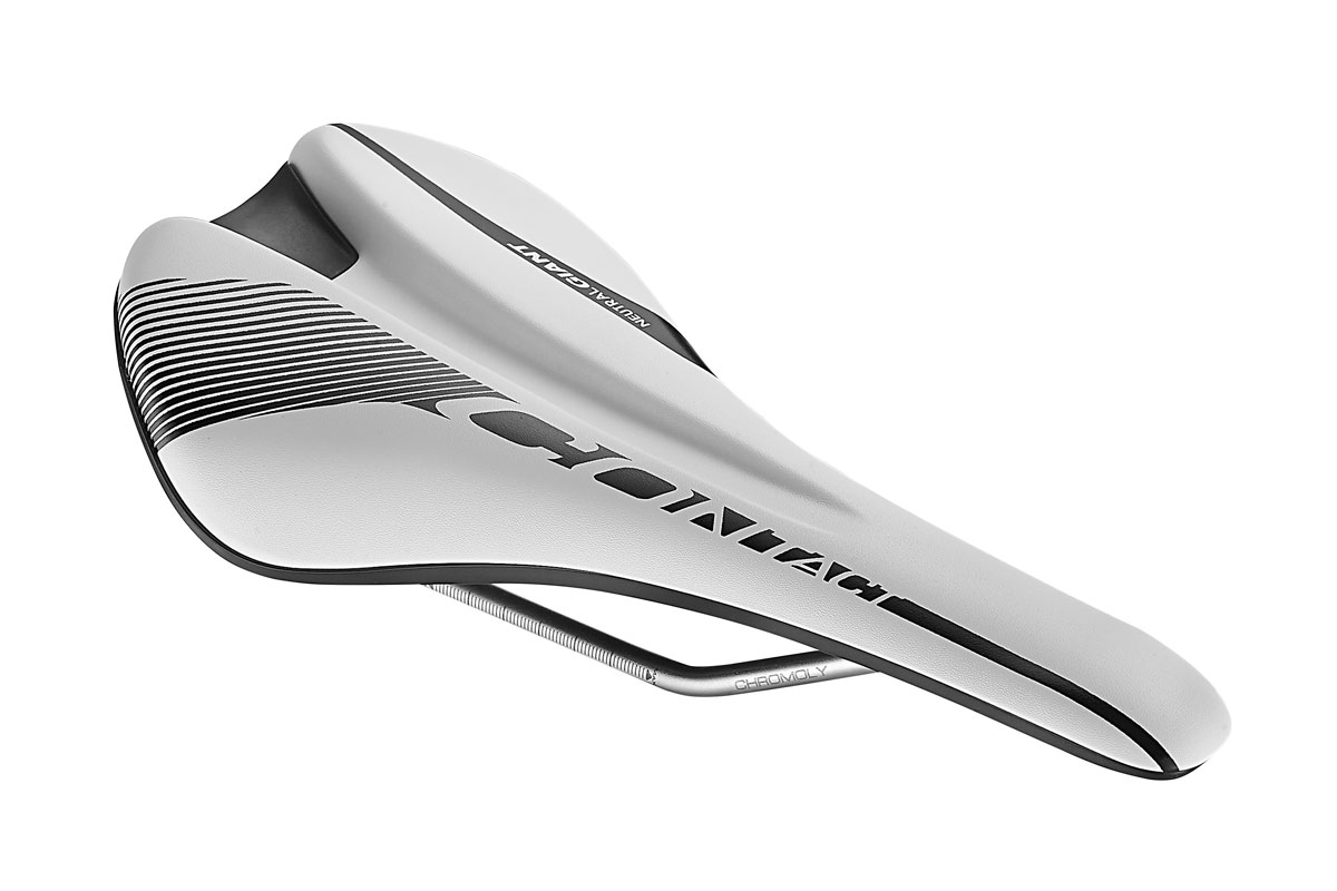giant contact neutral saddle