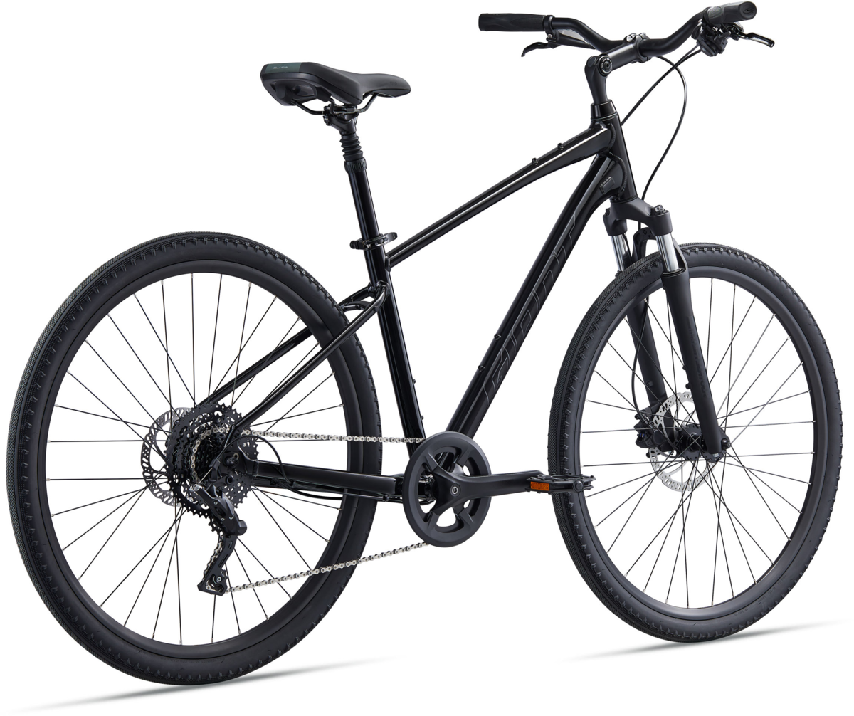 giant-cypress-2-2022-957004-13.png