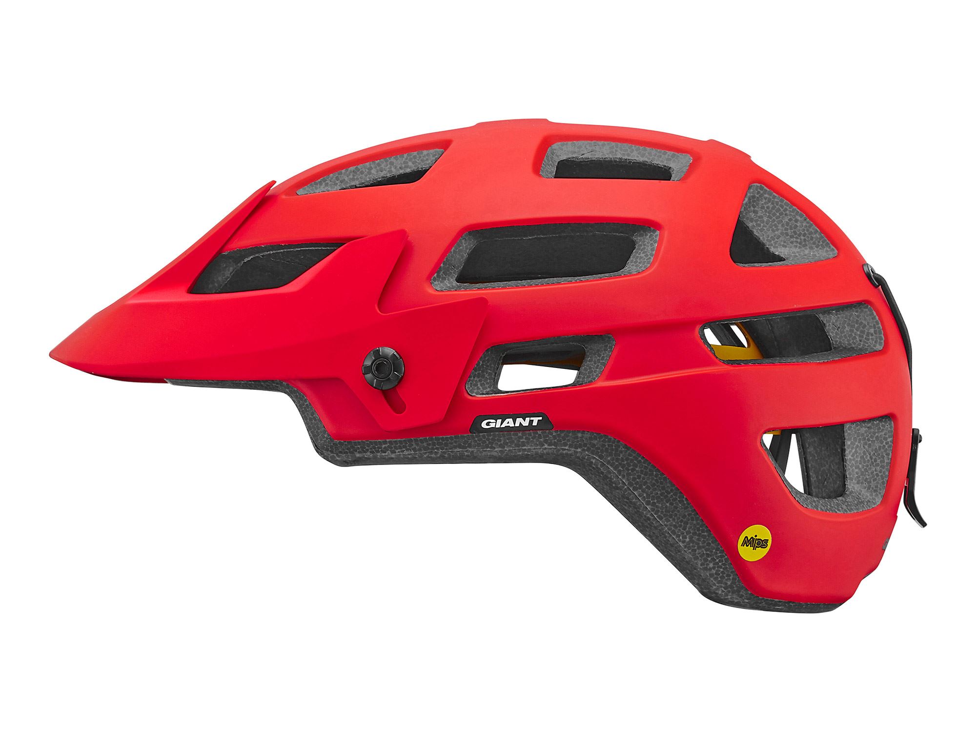 Rail Helmet MIPS - Asheville Bicycle Company