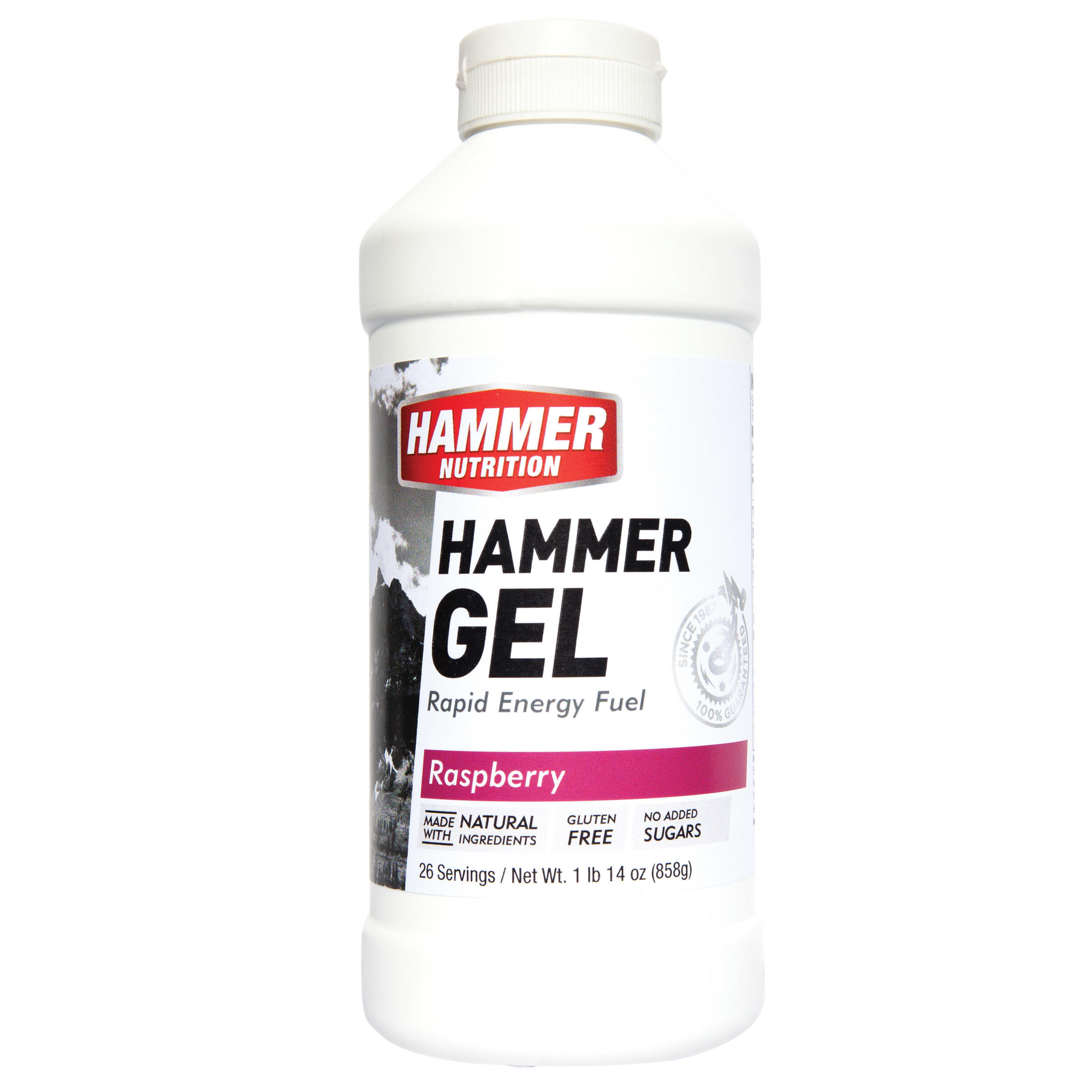 hammer-nutrition-hammer-gel-26
