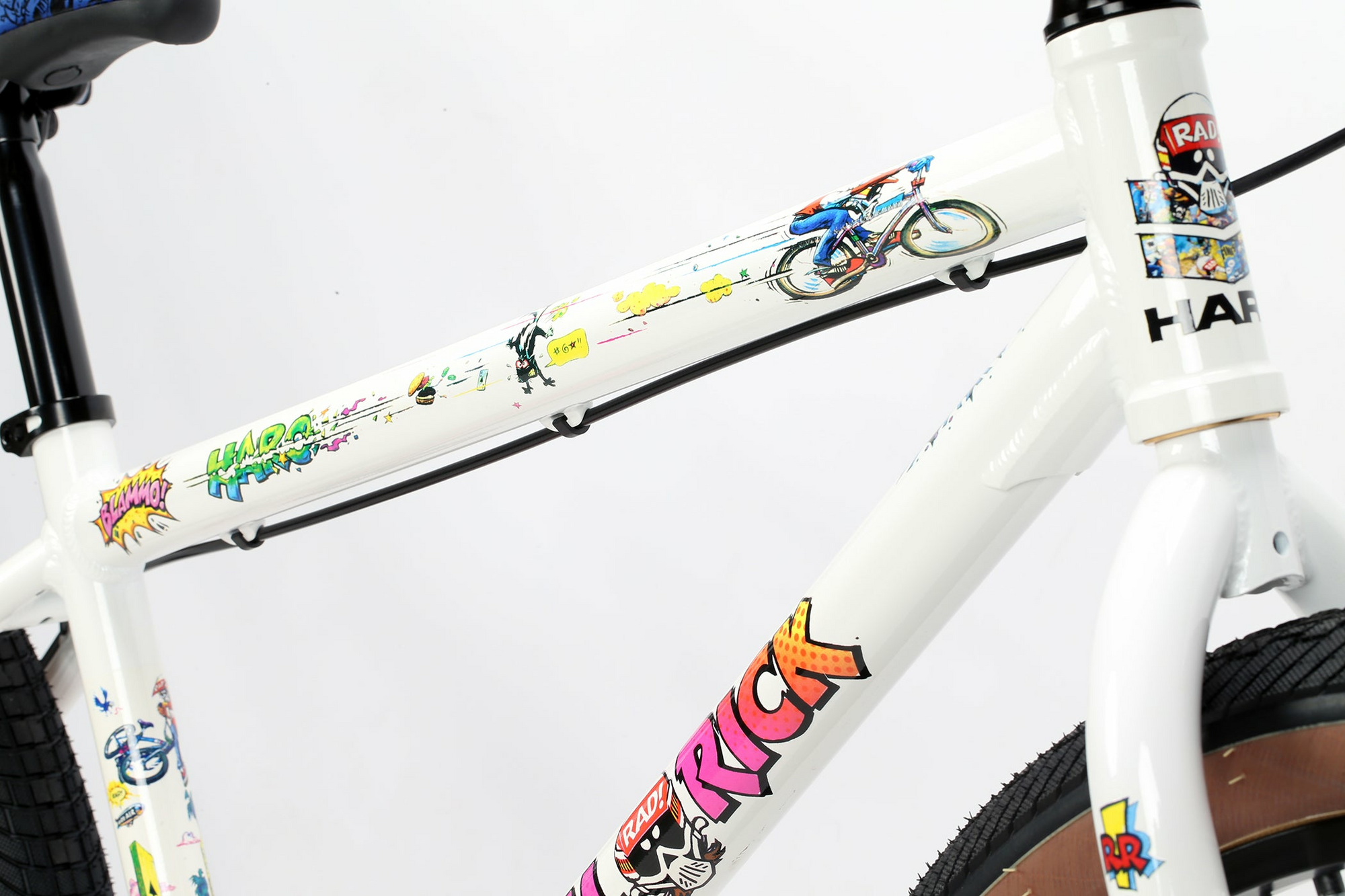 Haro Radical Rick 26 - Freewheeler Bike Shop | Grand Rapids MI