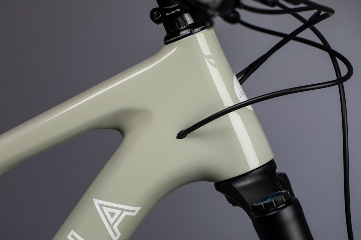 juliana furtado carbon