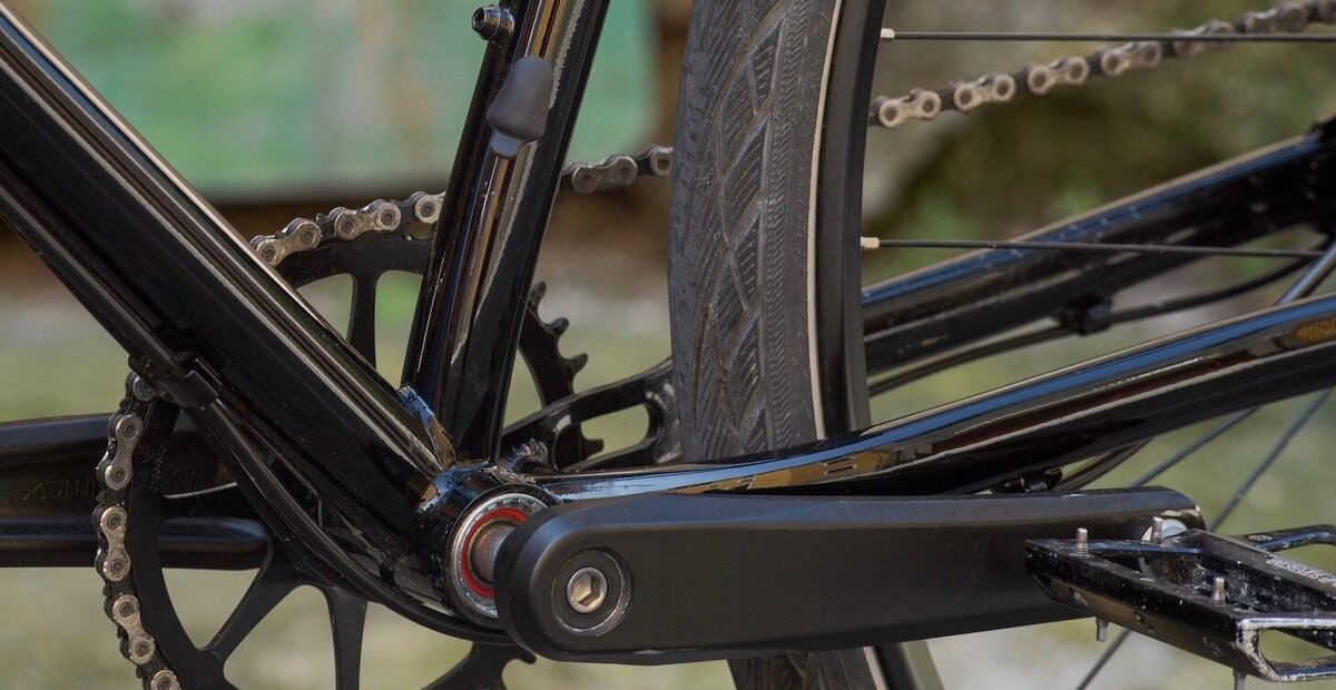 Marin Muirwoods - The Bike Connection | San Francisco & Palo Alto, CA