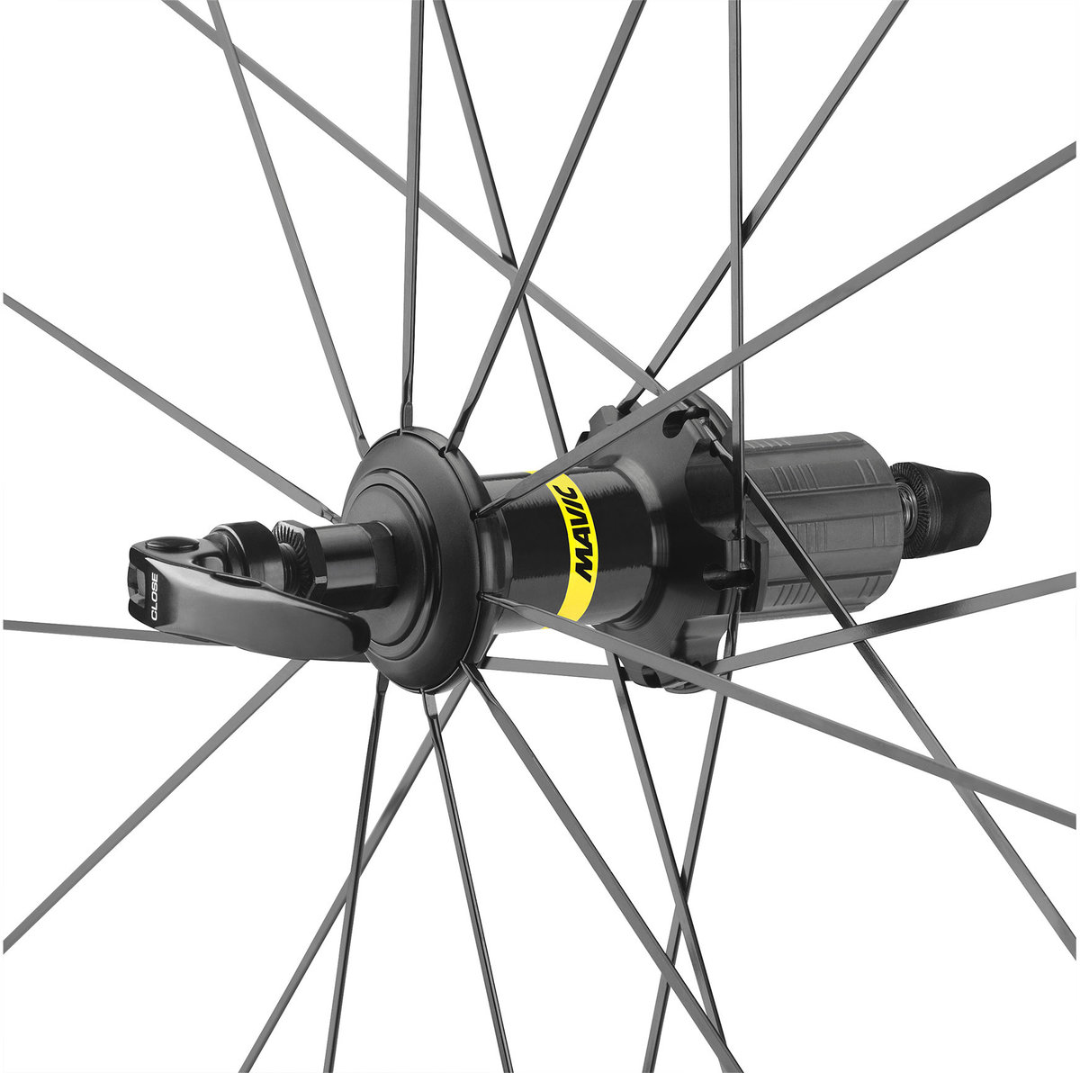 Mavic Aksium Rear - Bow Cycle | Calgary, AB | Bike Shop