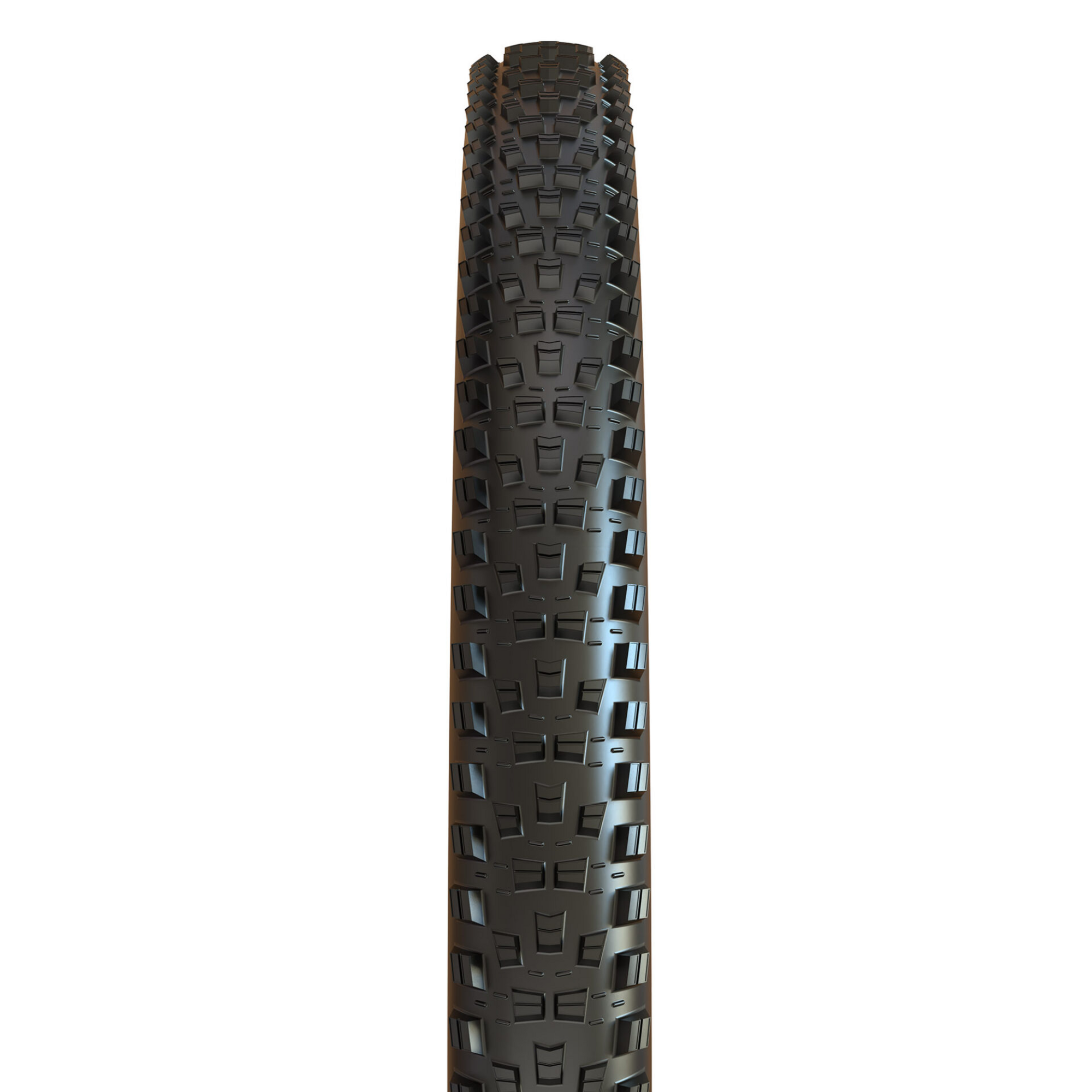Maxxis Forekaster 29-inch - Trail Bicycles | Your Comox Valley