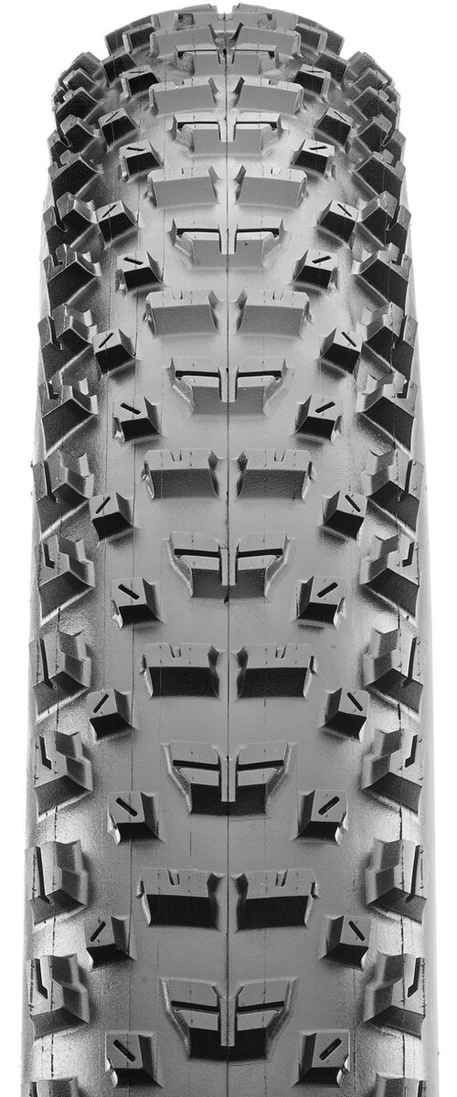 Maxxis Rekon 29-inch Tubeless Pine Mountain Sports Bend, OR