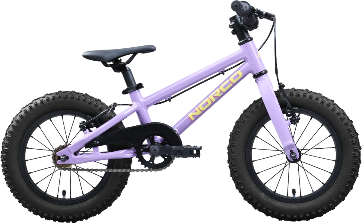 Norco Storm 14 - Summit Cycles & Sports | Creston, BC