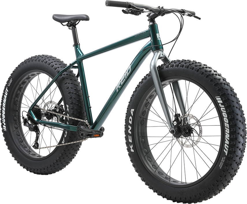 Reid Hercules - 7 Mile Cycles | Elk Grove Bike Shop