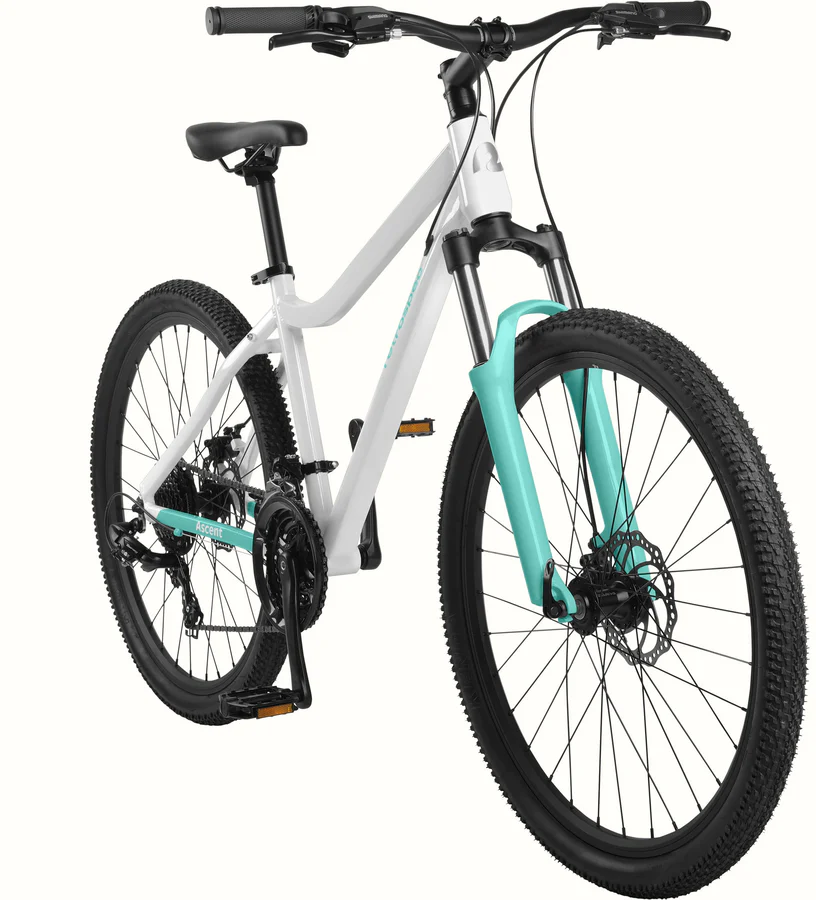 Retrospec Ascent 26-inch - Archer's Bikes | Online Shopping