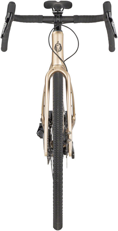 Salsa Warbird Carbon AXS Wide 