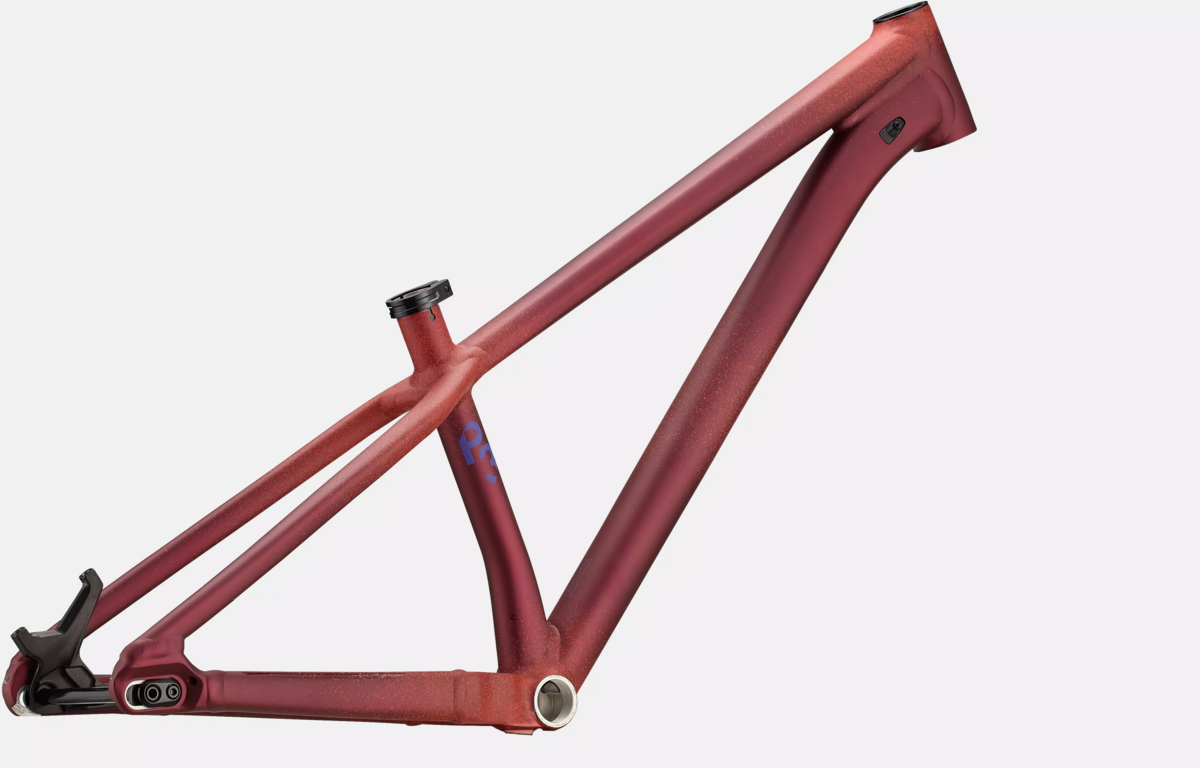 Specialized P.3 Frame - S&W Sports | Concord, NH