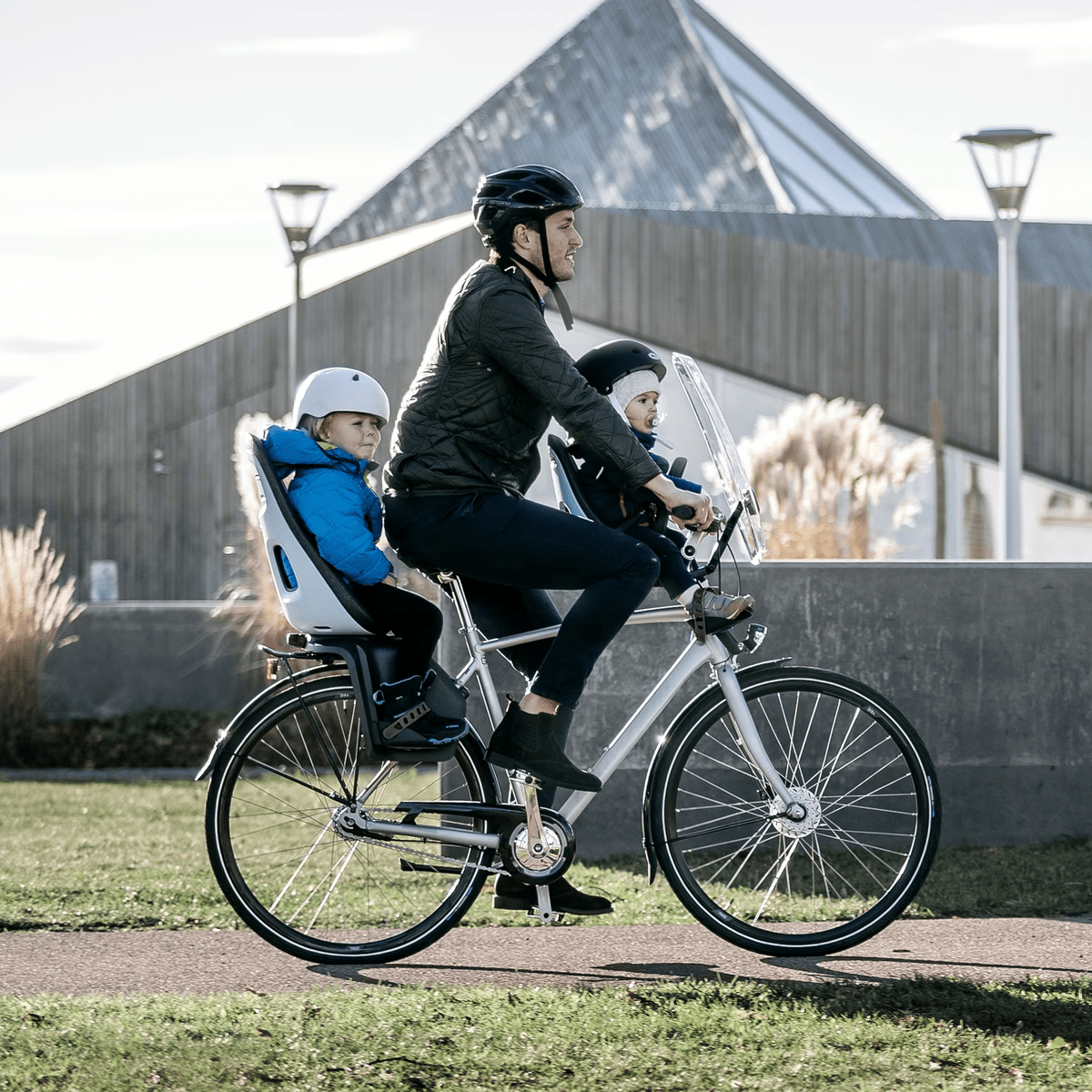 Thule Yepp Bike Seat Reviews Nexxt Thule Yepp Mini Child Seat