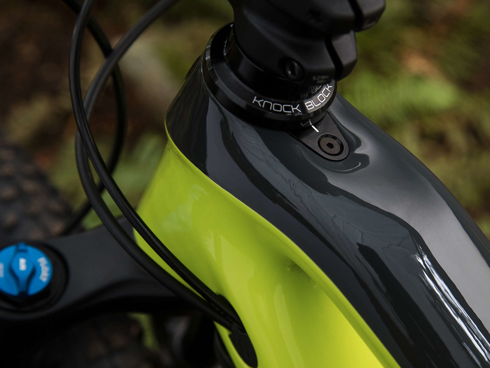 Trek Fuel EX 9.7 29 - Scheller's Fitness & Cycling | Louisville