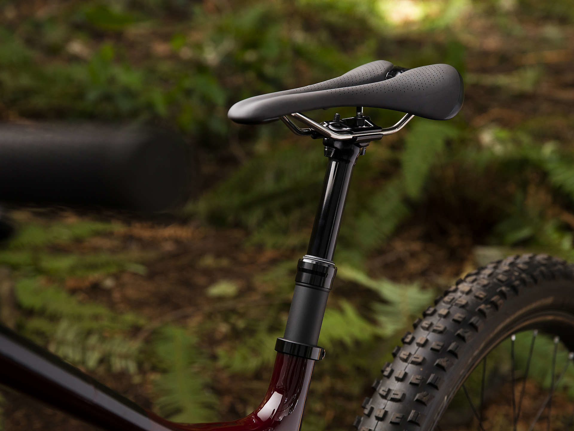 Trek Fuel EX 9.8 Women's - Freewheel 