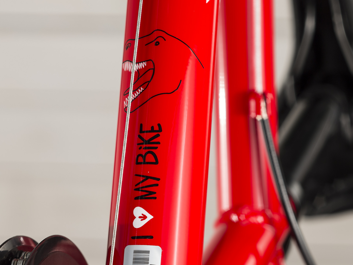 Trek Precaliber 20 6-speed - Hall 