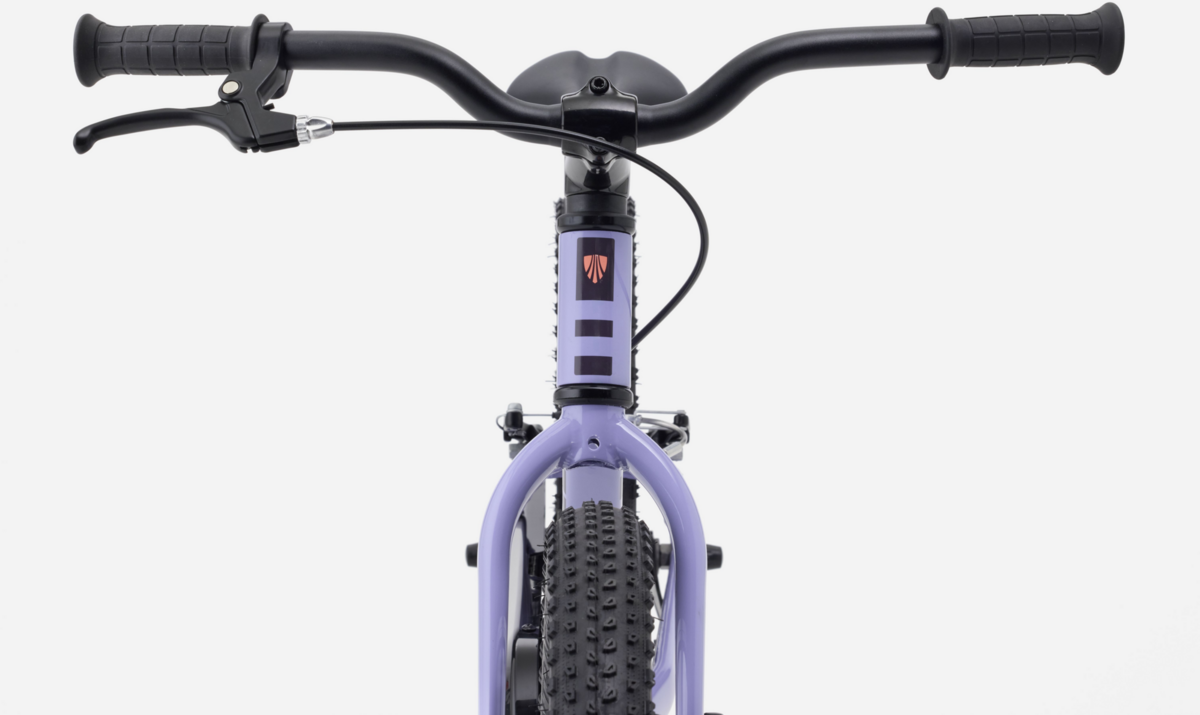 Trek Precaliber 20