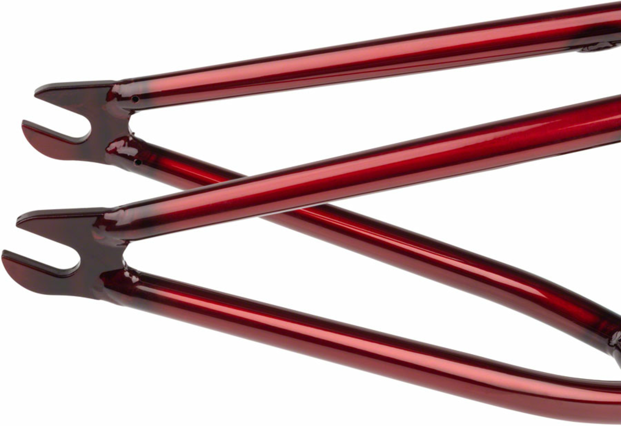 we-the-people-utopia-hybrid-