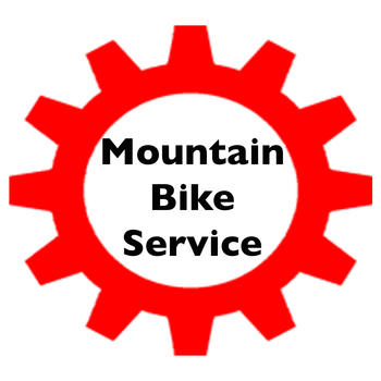 Mountain Bike Service