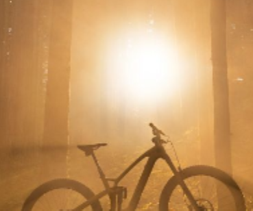 Mountain bike in the woods in front of a sunrise