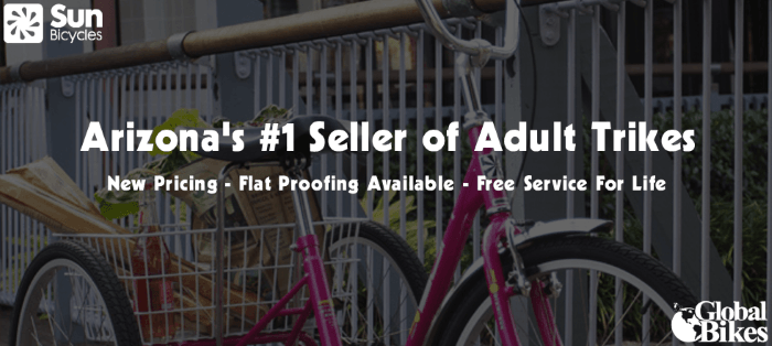 Gilbert - Mesa - Chandler - Ahwatukee Bike Shops 