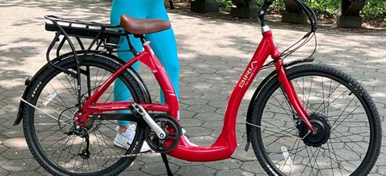 chicago electric bicycles Trail Whip and durability in all conditions. Electric Bike Chicago, IL |
